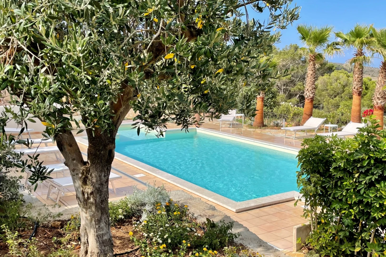 Dolcevita Egadi Resort Isola di Levanzo